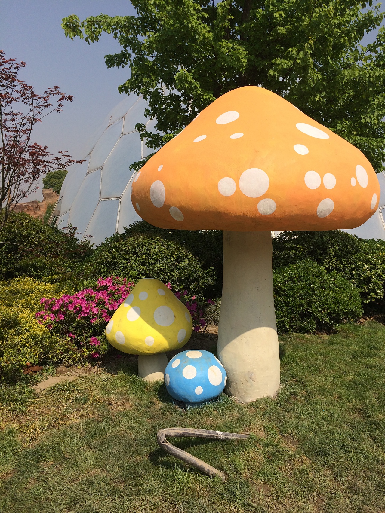 蘑菇浮雕：自然之美与平面设计的奇妙融合