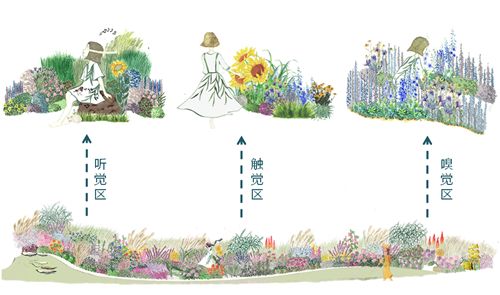 梦幻花园：景观花境平面设计图鉴