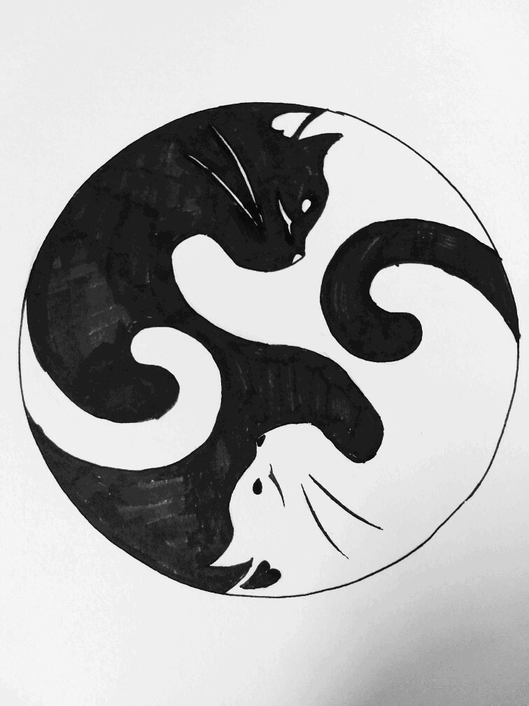 和谐与对比：平面设计中的视觉魔法之旅