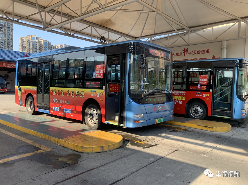 公交车平面设计：穿梭在城市间的艺术画卷