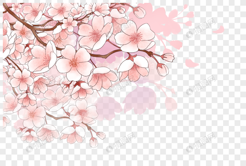 樱花绽放：探索樱花素材在平面设计中的魅力