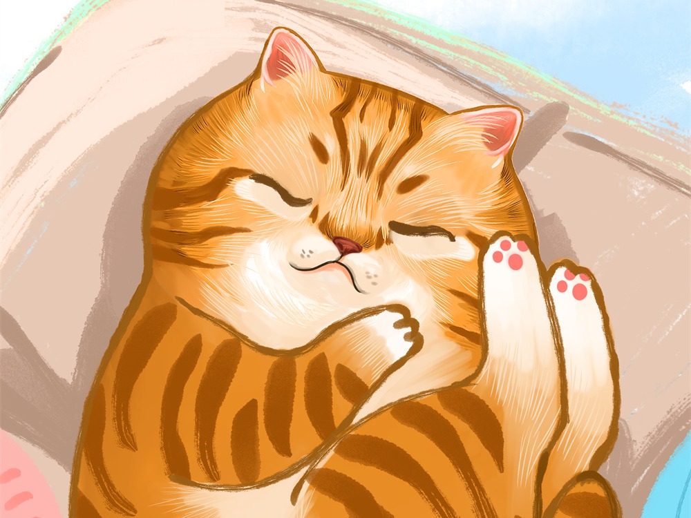 猫爷平面设计：萌化视觉，创意无限
