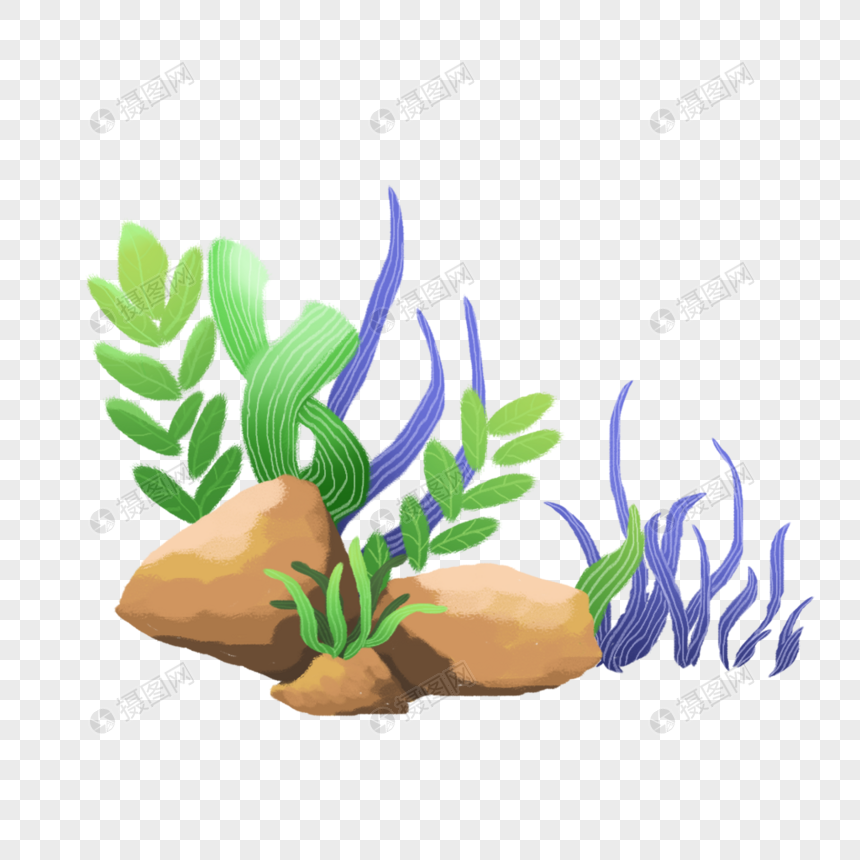 海草元素设计：海洋风情中的创意画卷
