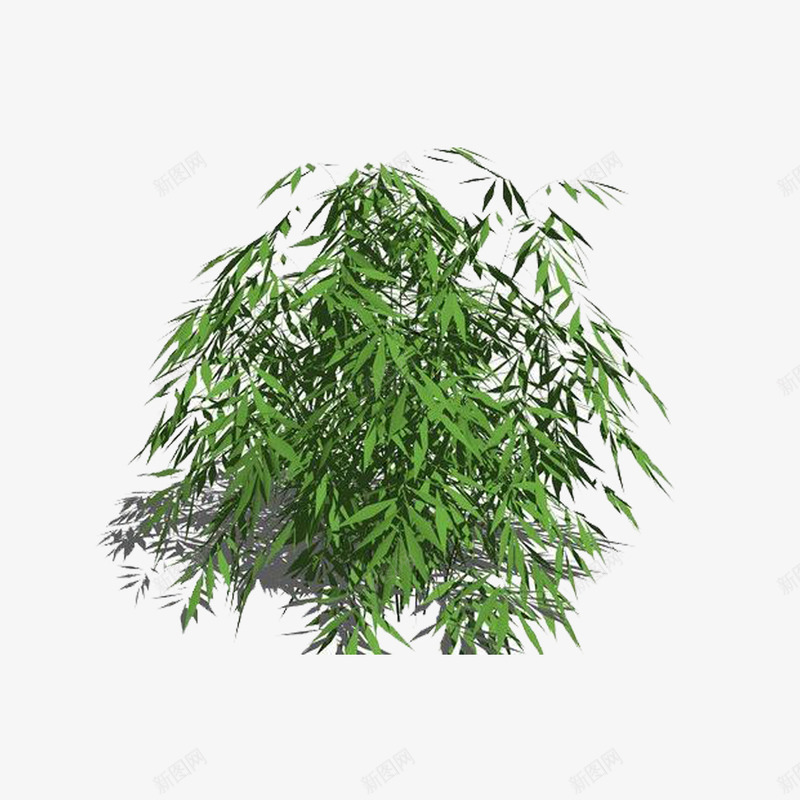 竹影婆娑：竹子平面设计图片大全探秘