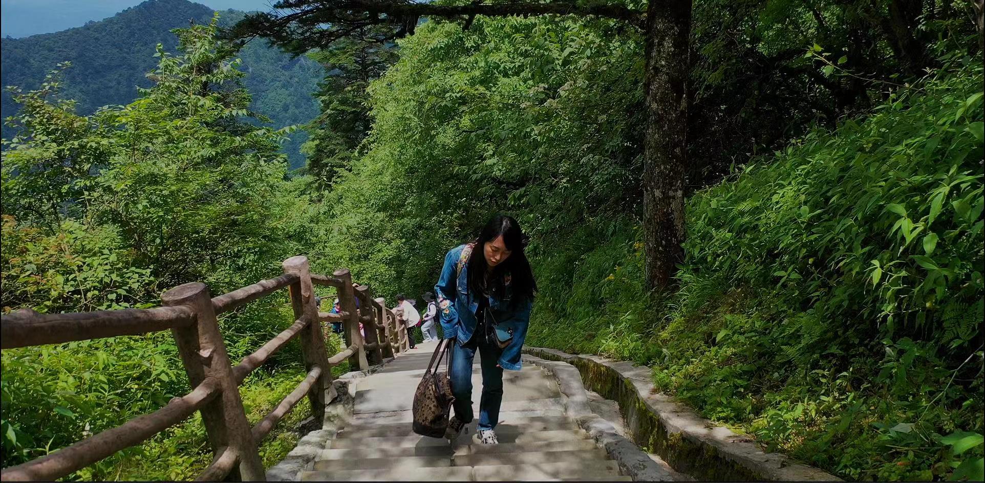 峨眉站：山水之间的现代艺术画卷