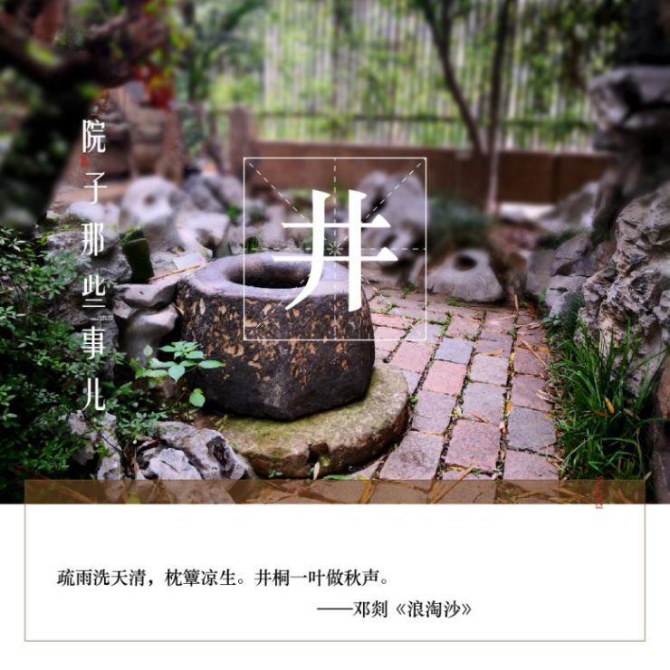 小院台阶，诗意盎然的立体画卷