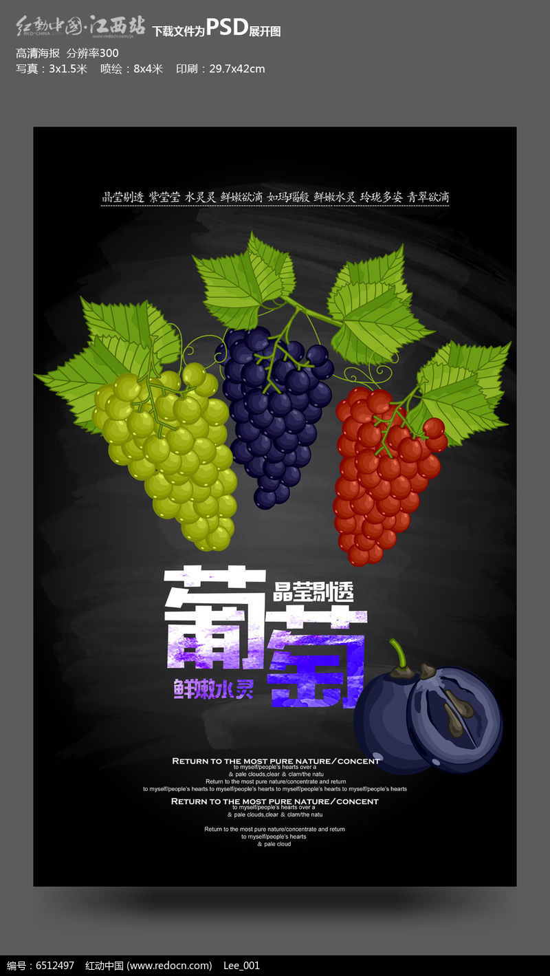 采摘葡萄，创意无限——平面设计图片赏析