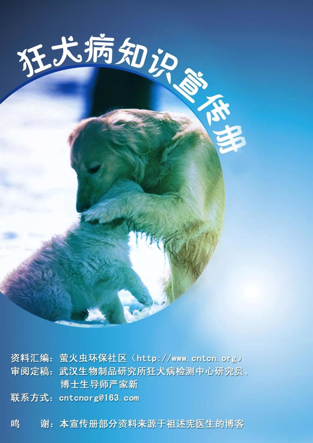 狂犬门诊：温馨守护，艺术与安全的完美融合