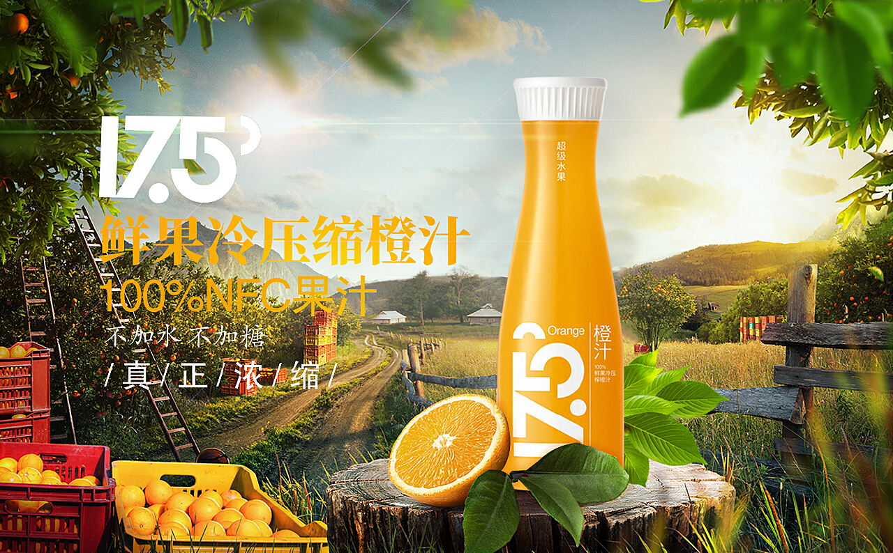 果汁场平面设计:色彩斑斓的绿色乐园