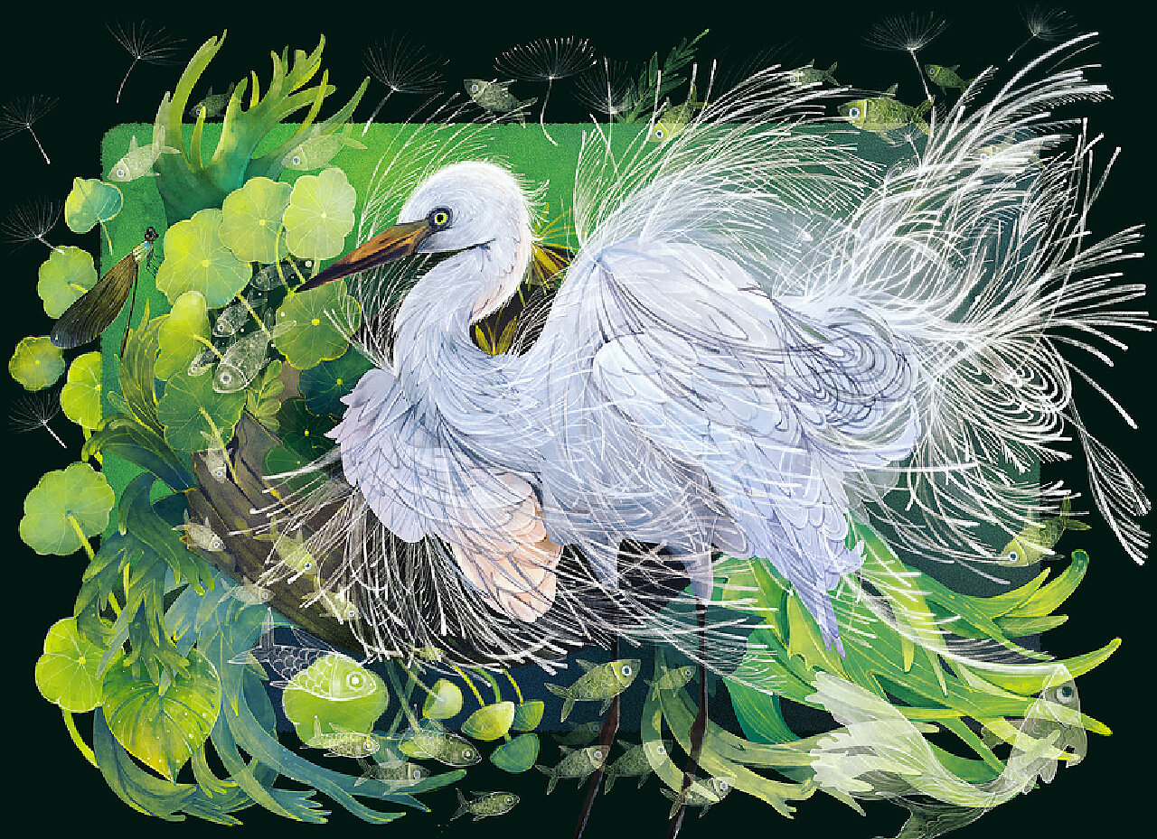 《白鹭轻舞，插画中的自然诗篇》